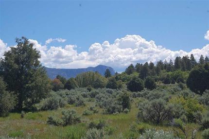 Undeveloped Land in Rio Arriba County, New Mexico
