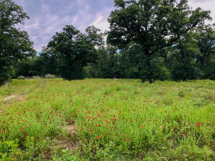 Land in Milam County, Texas