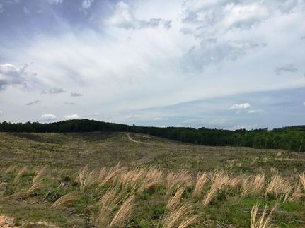 Land in Benton County, Tennessee