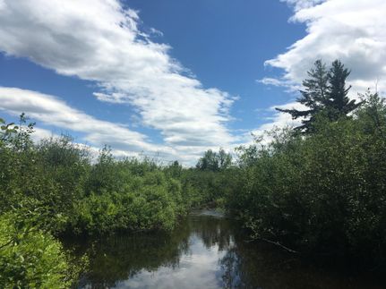 Farm and Ranch in Saint Lawrence County, New York
