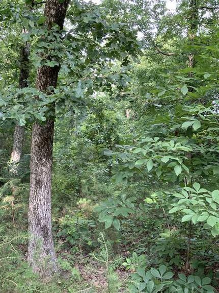 Undeveloped Land in Humphreys County, Tennessee