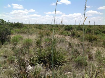 Land in Terrell County, Texas