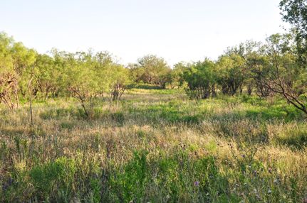 Hunting Property in Scurry County, Texas