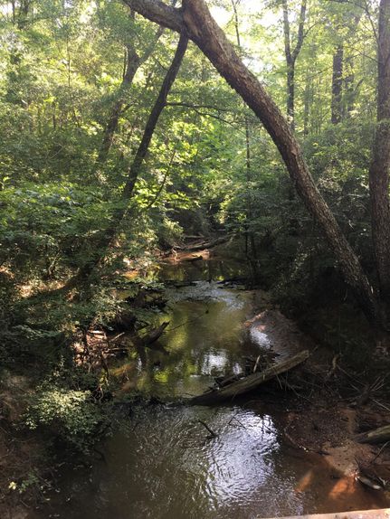 Farm and Ranch in Perry County, Alabama