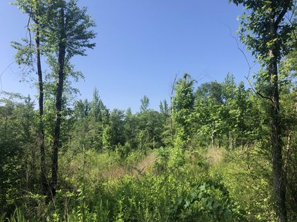 Farm and Ranch in Jackson County, Alabama