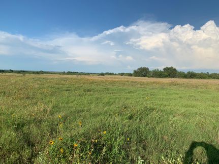 Undeveloped Land in Wilson County, Texas