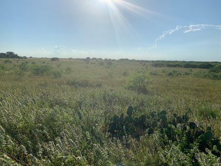 Undeveloped Land in Wilson County, Texas