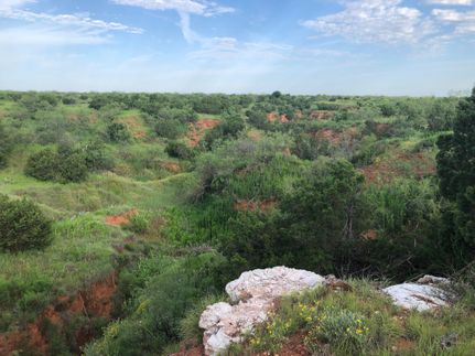 Farm and Ranch in Cottle County, Texas