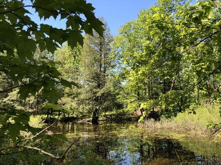 Commercial Property in Lewis County, New York