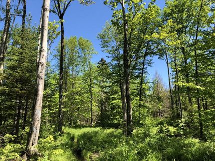 Commercial Property in Lewis County, New York