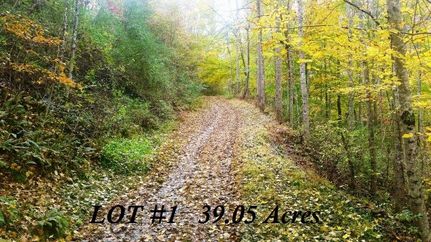 Farm and Ranch in Gilmer County, West Virginia