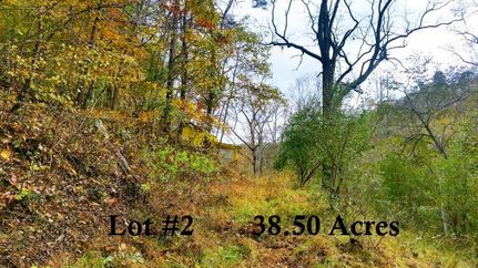 Timberland Property in Gilmer County, West Virginia