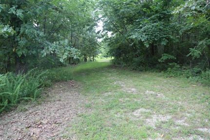 Undeveloped Land in Oregon County, Missouri