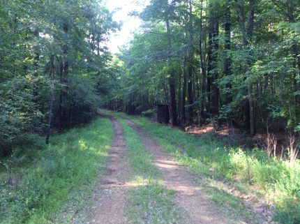 Hunting Property in Saint Clair County, Alabama