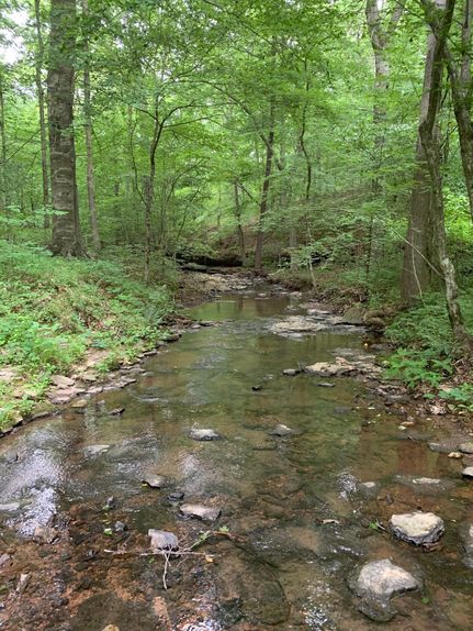 Timberland Property in Williamson County, Tennessee
