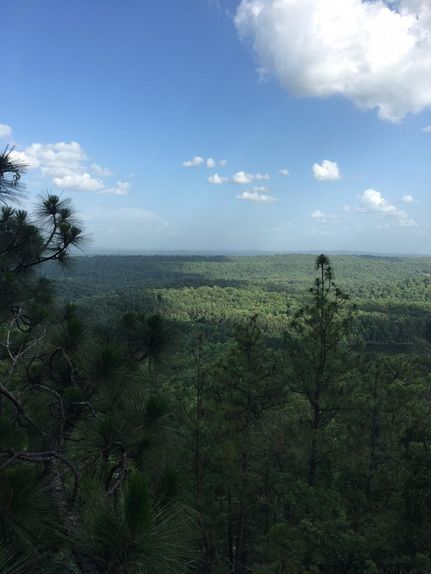Farm and Ranch in Shelby County, Alabama