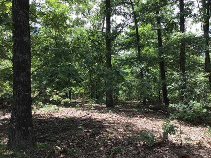 Land in Camden County, Missouri