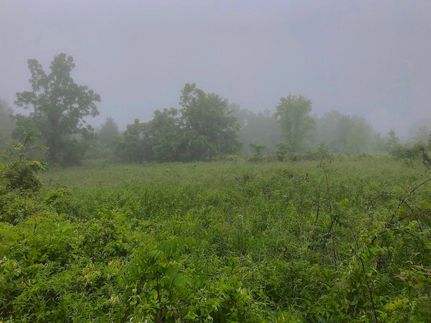 Timberland Property in Washington County, Ohio