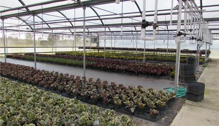 Commercial Property in Lake County, Florida