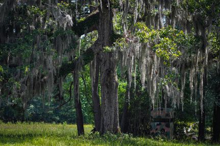 Land in Houston County, Texas