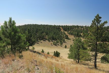 Farm and Ranch in Campbell County, Wyoming
