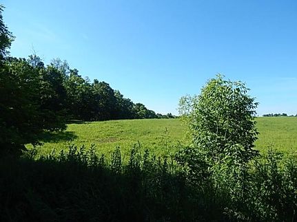Farm and Ranch in Ionia County, Michigan