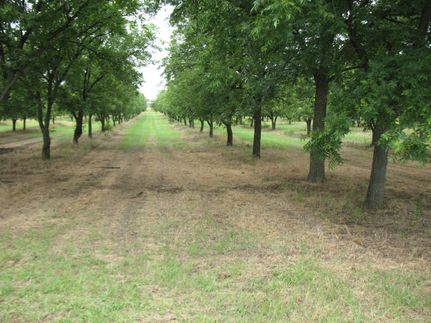Undeveloped Land in Comanche County, Texas