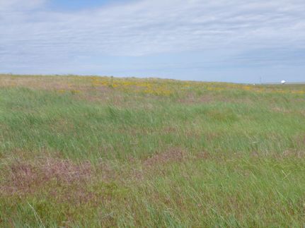 Land in Deuel County, Nebraska