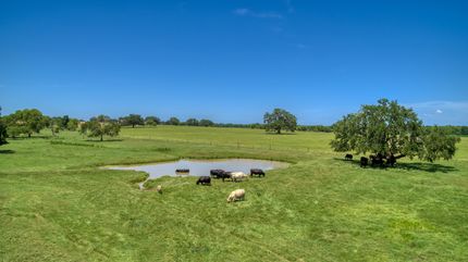 Land in Atascosa County, Texas
