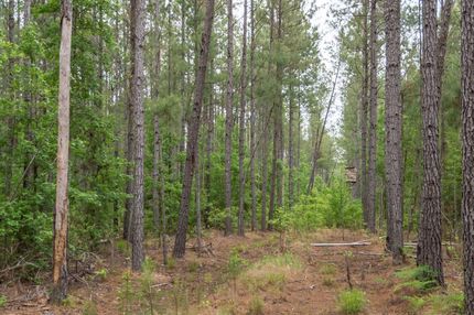 Recreational Property in Georgetown County, South Carolina