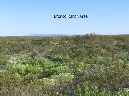 Undeveloped Land in Hudspeth County, Texas