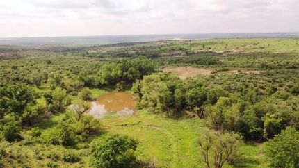 Timberland Property in Donley County, Texas