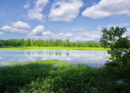 Farm and Ranch in Talladega County, Alabama