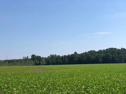 Farm and Ranch in Calhoun County, Mississippi