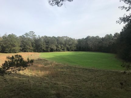 Farm and Ranch in Butler County, Alabama