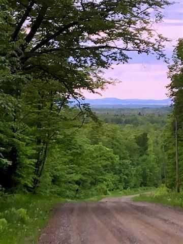 Undeveloped Land in Marquette County, Michigan