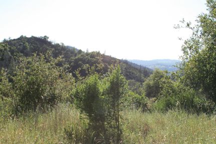 Commercial Property in Calaveras County, California