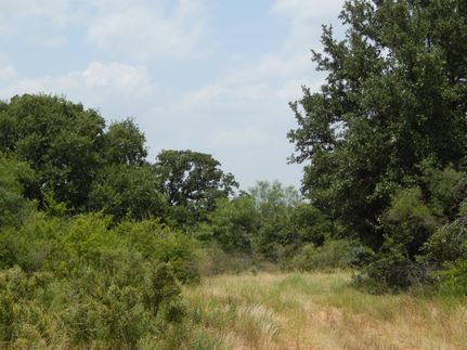 Recreational Property in McCulloch County, Texas