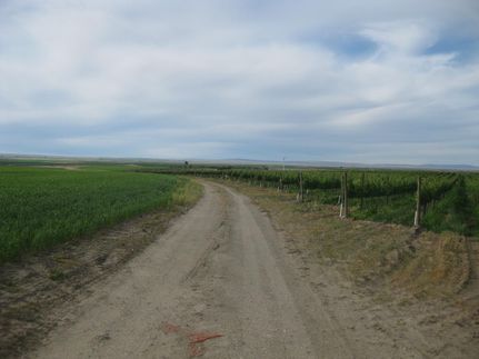 Farm and Ranch in Benton County, Washington