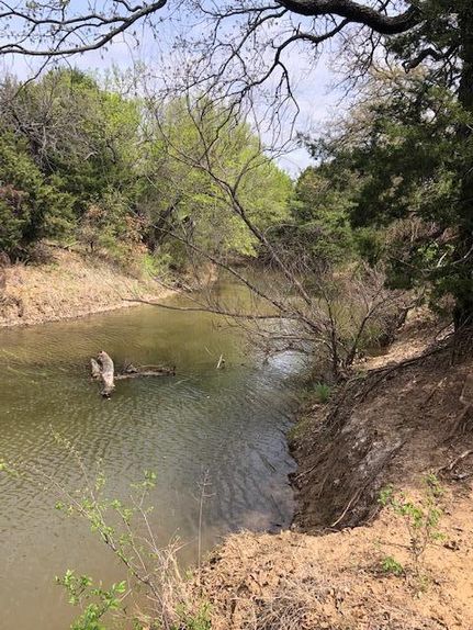 Timberland Property in Stephens County, Texas