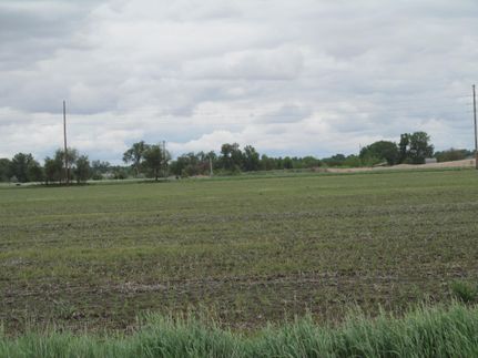 Homesite in Buffalo County, Nebraska