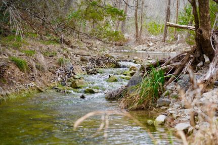 Land in Real County, Texas