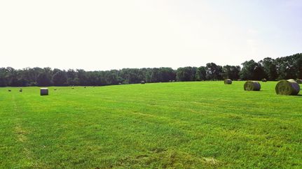 Timberland Property in Texas County, Missouri
