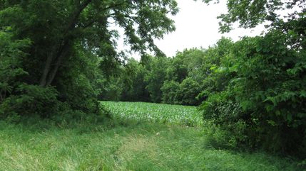 Recreational Property in Douglas County, Kansas