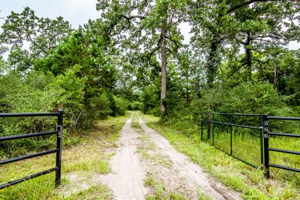 Hunting Property in Walker County, Texas