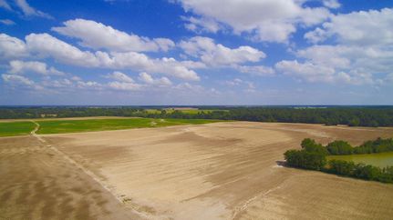Hunting Property in Phillips County, Arkansas