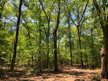 Hunting Property in Leon County, Texas
