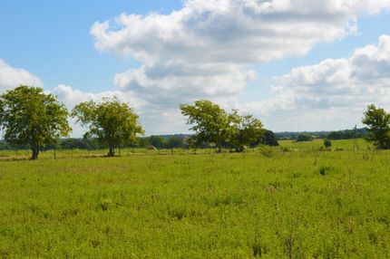 Timberland Property in Colorado County, Texas