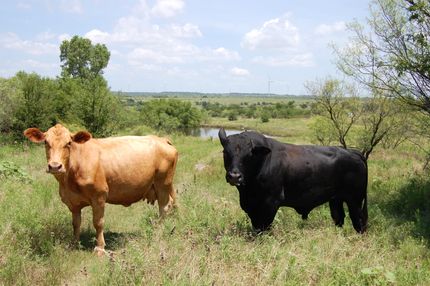 Recreational Property in Jack County, Texas