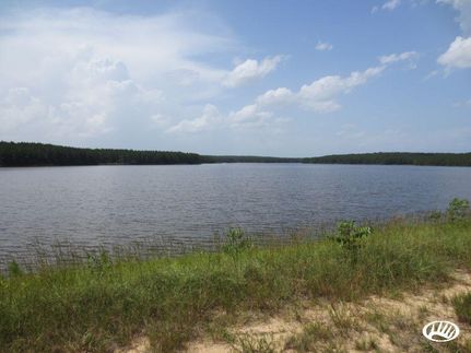 Hunting Property in Jones County, Mississippi
